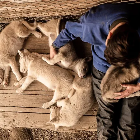 Huskyfarm