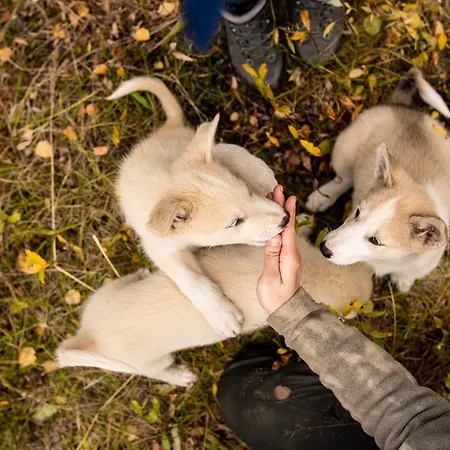 Huskyfarm Feriehus