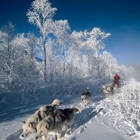 Prázdninový dům Huskyfarm *