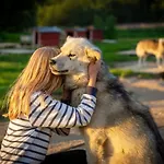 Huskyfarm Casa de Férias